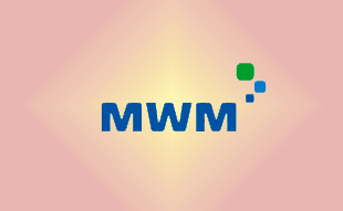 ✓ MWM 0403 4529 Запчасть MWM 